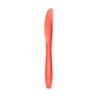 Coltelli di plastica riutilizzabili Luxury rossi trasparenti 19 cm - 50 pz