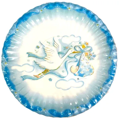 Piatti di carta nascita cicogna celeste Ø 24 cm - 10 pz