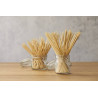 Spiedi Bamboo Naturale Varie Misure | Pietrangioli
