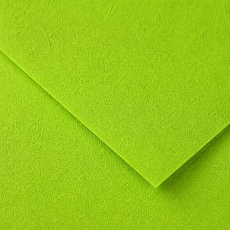 Coprimacchia TNT Verde Kiwi 100x100 cm 25 pz | Pietrangioli