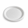 Piatti piani compostabili in polpa di cellulosa Ø 26 cm - 50 pz