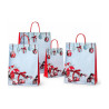Shopper regalo in carta Dolomiti con maniglie ritorte rosse, varie misure Carpad