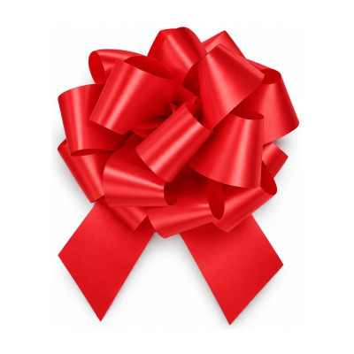 Coccarda regalo a strappo linea E Ø 20 cm, nastro 50 mm, 5 colori Brizzolari