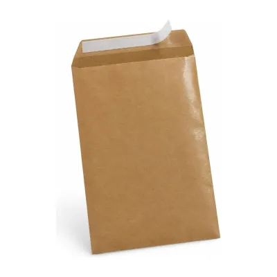 Busta a sacco avana monolucida 25x35,5 cm con chiusura autoadesiva Blasetti