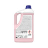 Detersivo lana e delicati Sanitec Wooldet 5 L