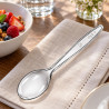 Cucchiai di plastica riutilizzabili Luxury trasparenti 19 cm - 50 pz