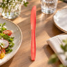 Coltelli di plastica riutilizzabili Luxury rossi trasparenti 19 cm - 50 pz