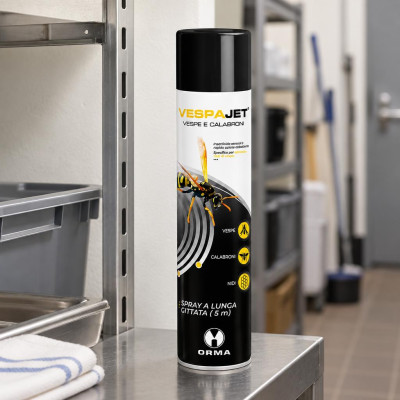 Insetticida spray per vespe e calabroni Orma Vespajet 750 ml con getto fino a 5 metri