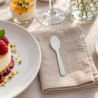 Mini cucchiaini finger food in CPLA bianco 10 cm per dessert e assaggi - 50 pz