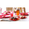 Piatti Rettangolari Rosa Coral 6 pz | Pietrangioli