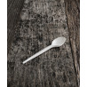 Cucchiai Bio Compostabili 160 mm 50 pz | Pietrangioli