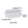 Vaschette in PET trasparenti con coperchio incernierato Cuki - varie misure - 50 pz